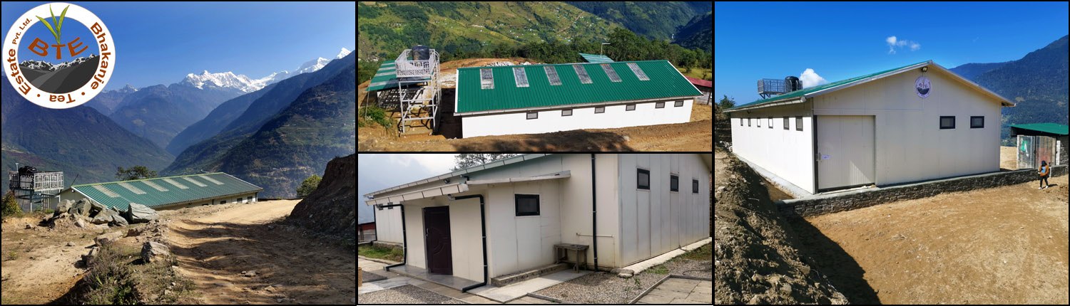 Bhakanje Tea Factory
